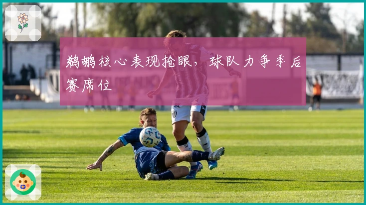 鹈鹕核心表现抢眼，球队力争季后赛席位